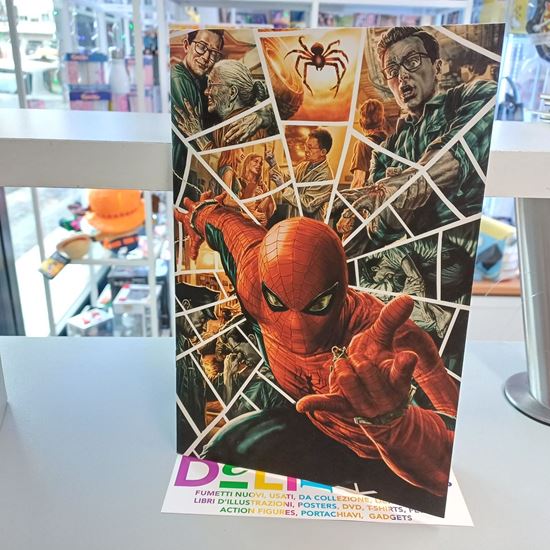 Immagine di AMAZING SPIDER-MAN VISIONS VARIANT DI LEE BERMEJO 010