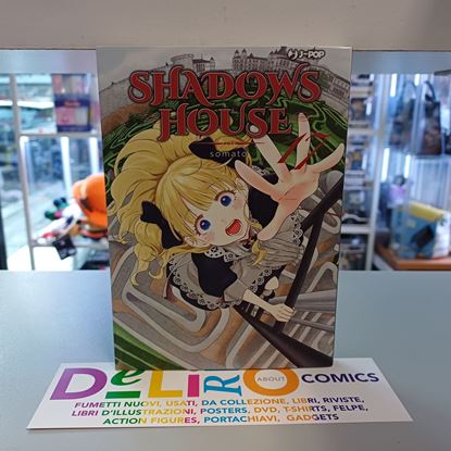 Immagine di SHADOWS HOUSE 017