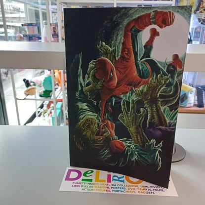 Immagine di AMAZING SPIDER-MAN VISIONS VARIANT DI LEE BERMEJO 011