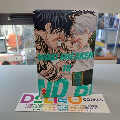 Immagine di WIND BREAKER 018