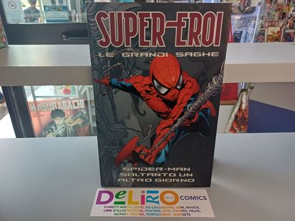 Immagine di SPIDER-MAN SOLTANTO UN ALTRO GIORNO